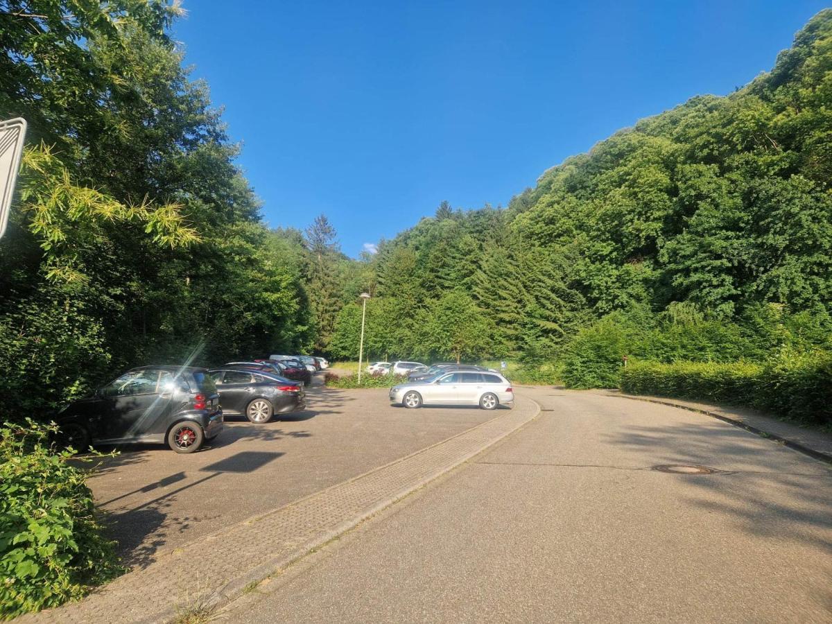 Wasserfaelle Apartments Sasbachwalden Bagian luar foto